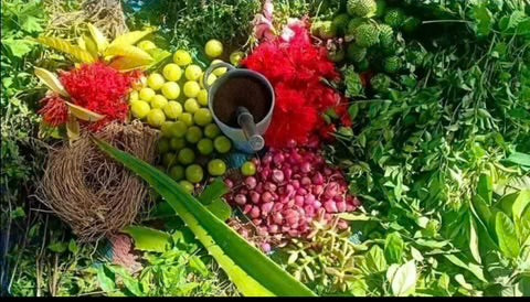 KARNATAKA ADIVASI HAIR OIL ALL VARIENTS